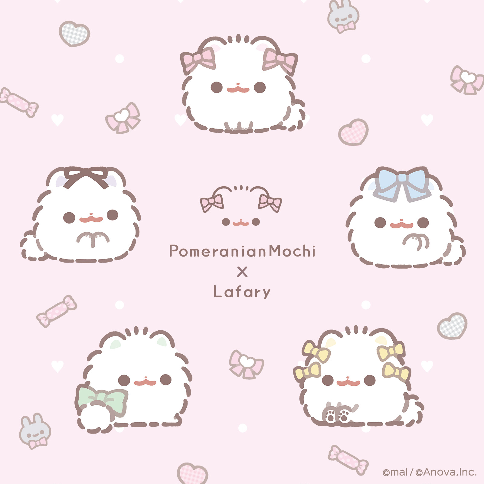 かわいい×かわいいのコラボが実現！ SNSで人気の「ポメラニアン